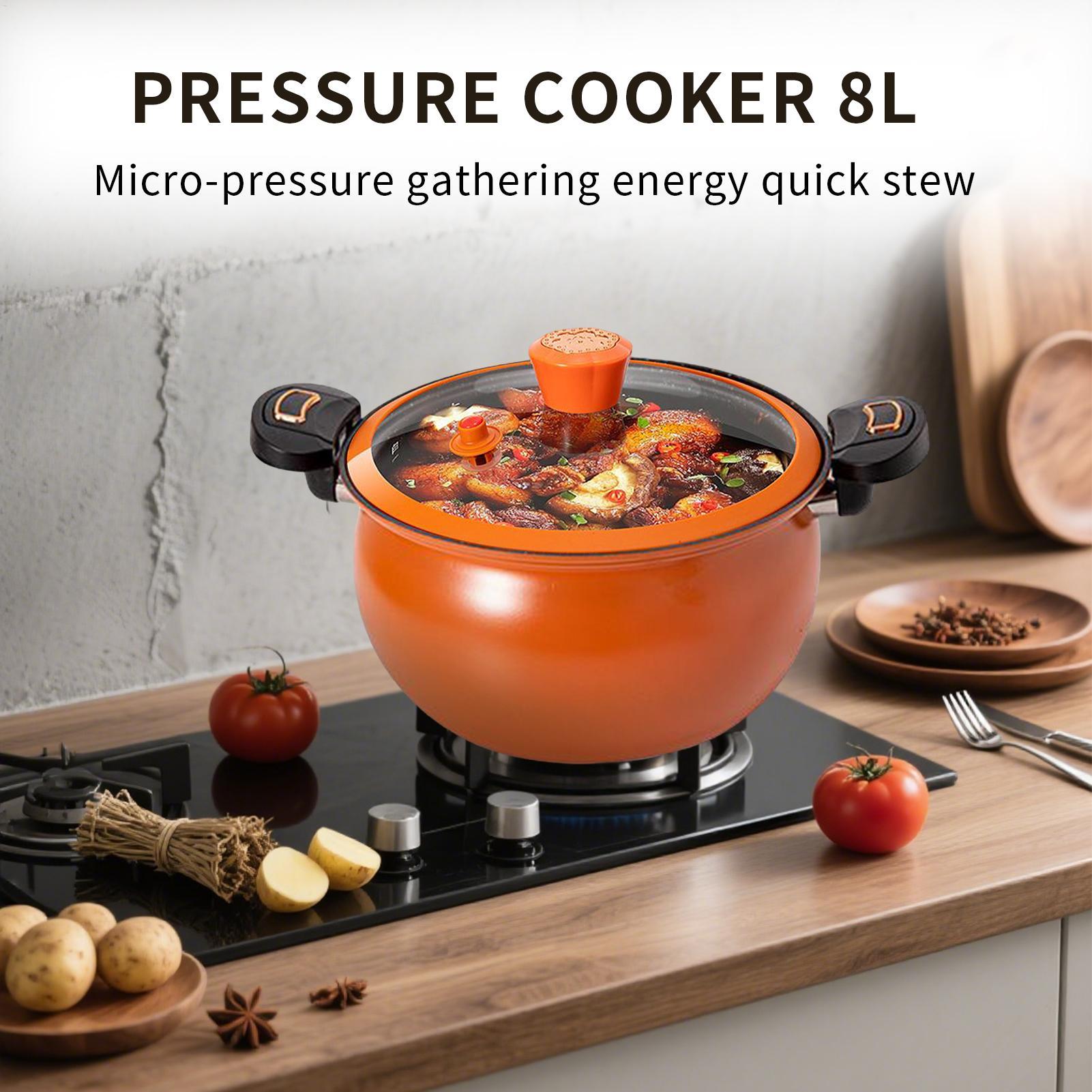 Small Pressure Cooker Non-Stic - Home Cooking Fast Foods 评论和价格