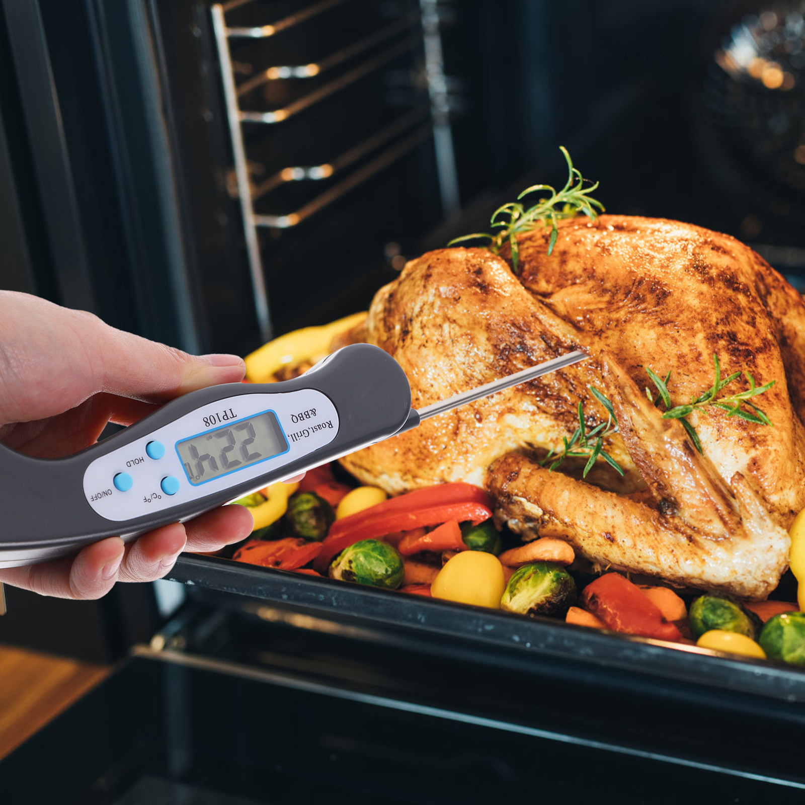 Digital Food Thermometer Probe - Home Cooking Fast Foods 评论和价格